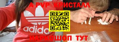 гашик Донской