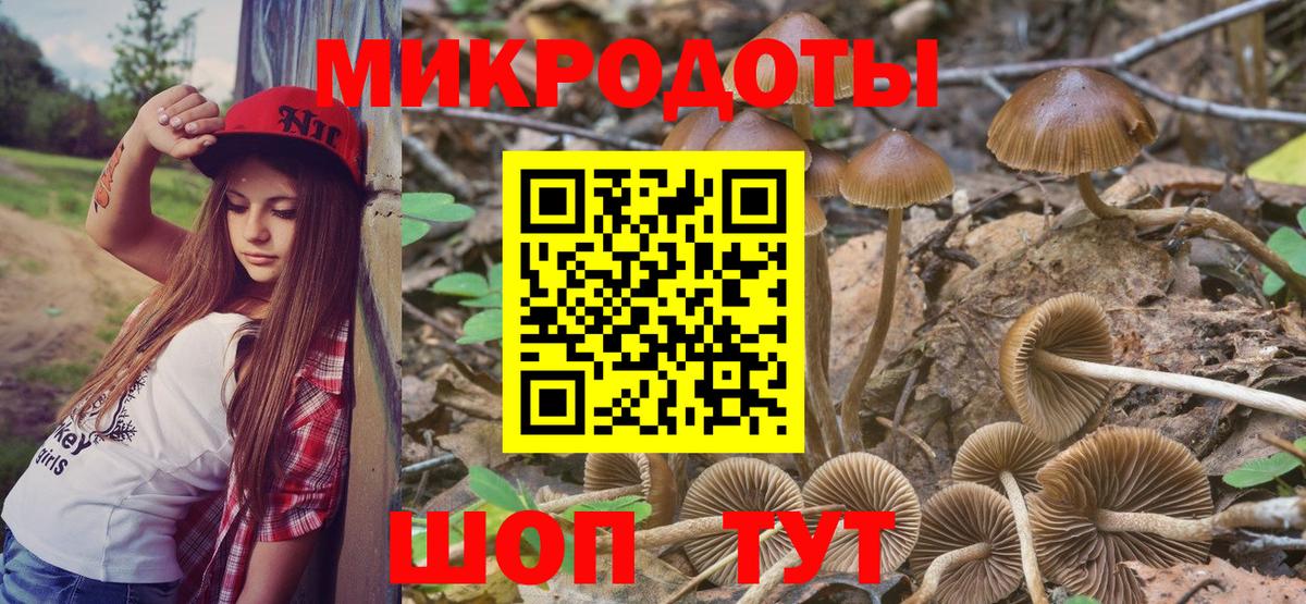 Псилоцибиновые грибы Cubensis Кудрово
