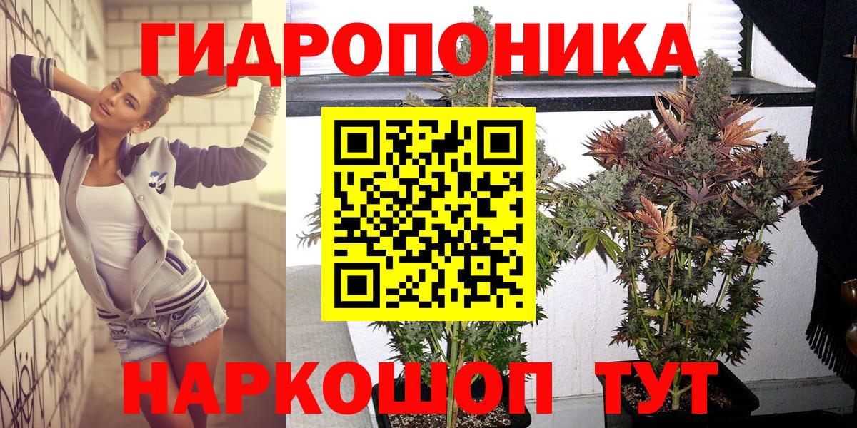 Конопля MAZAR Кудрово